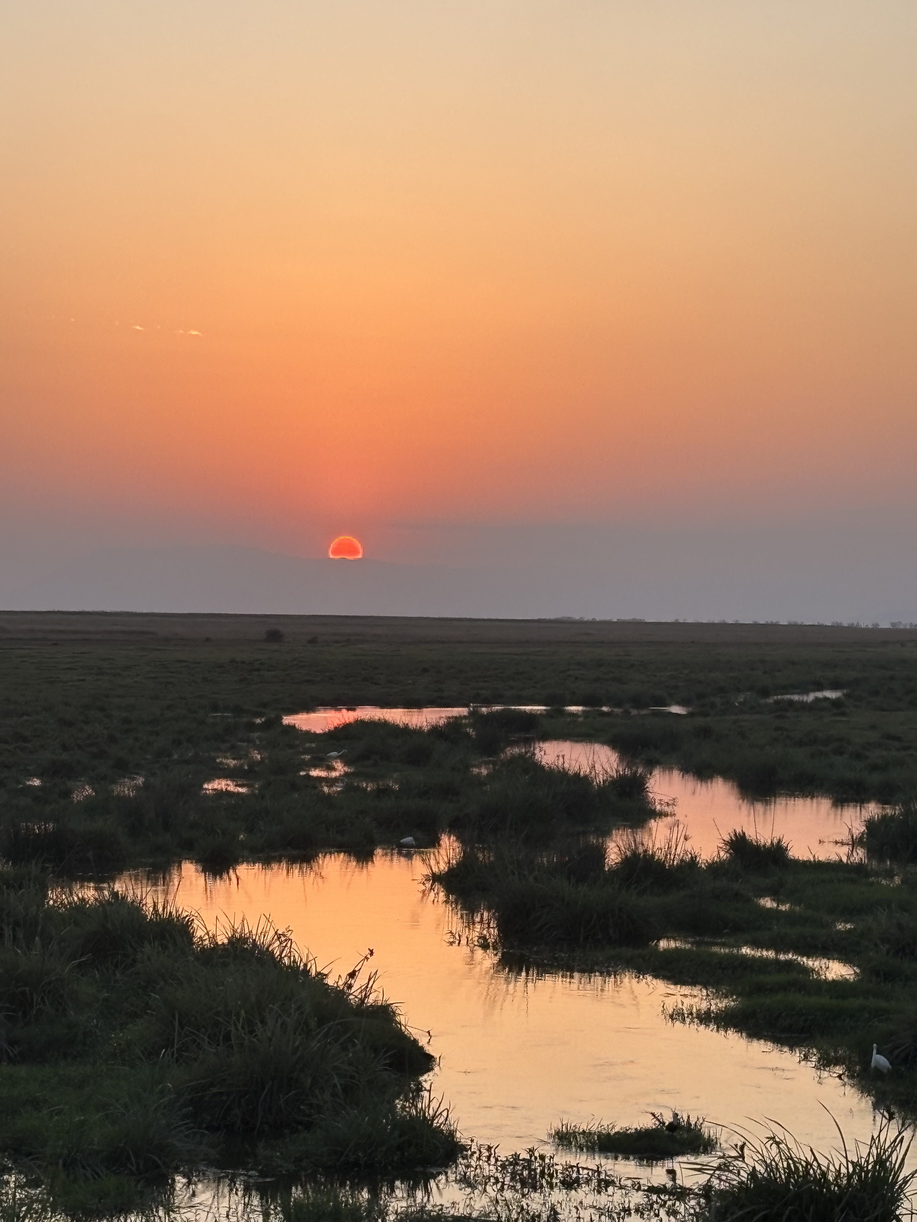 Safari in Kenya