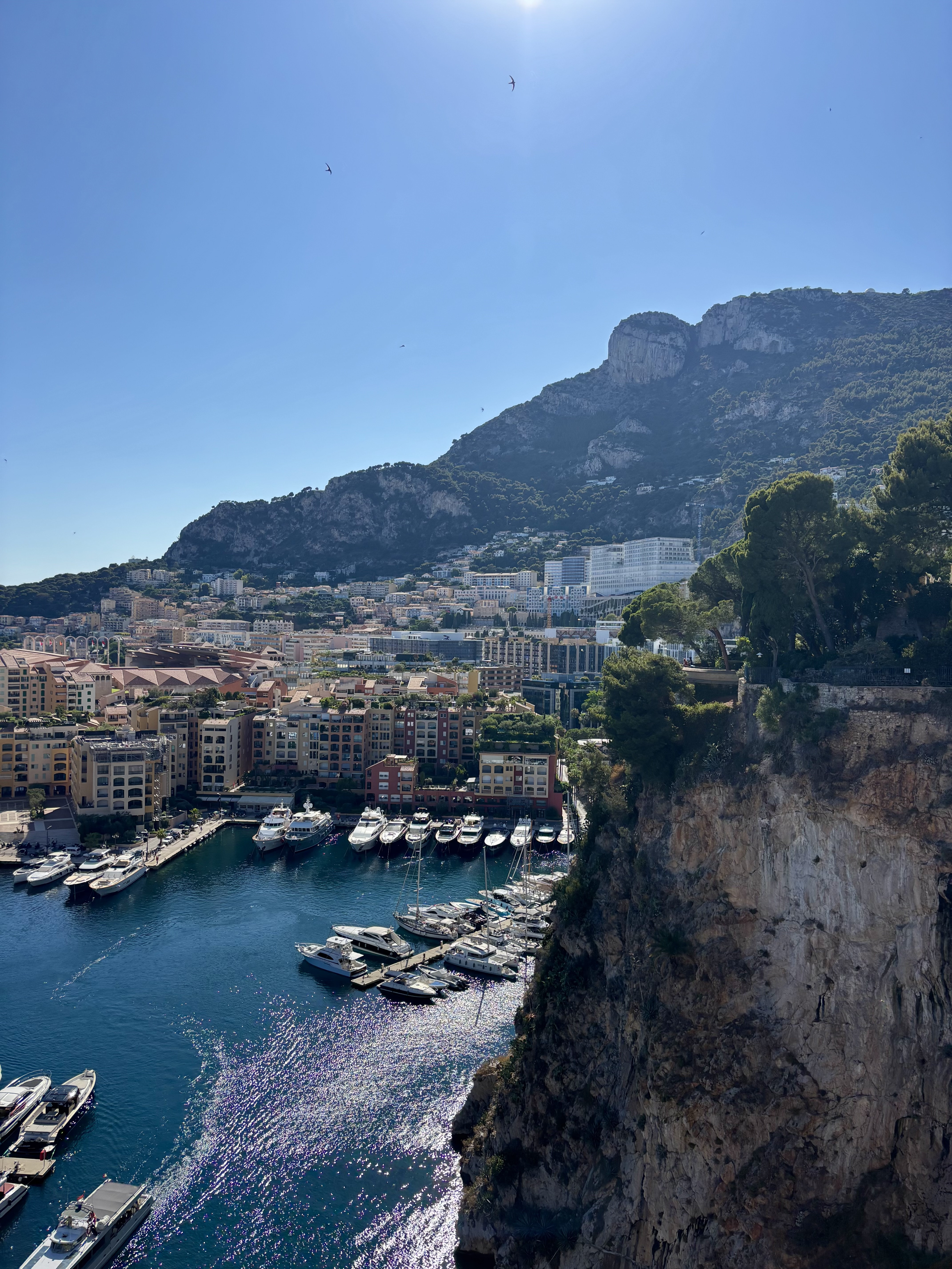 Monte Carlo