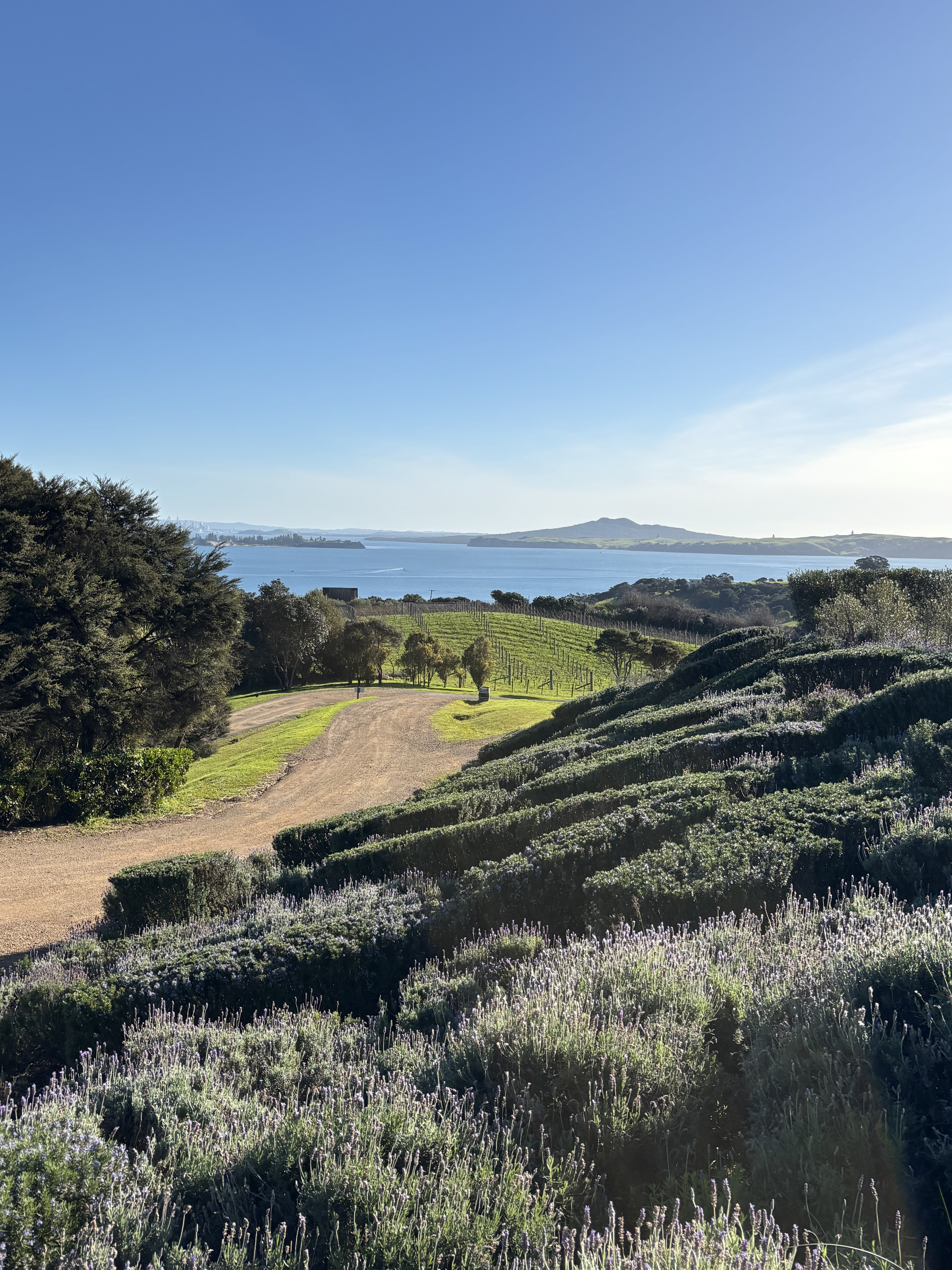 Waiheke Island
